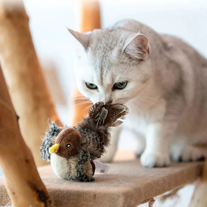 Catfri® BirdToy: Interaktives zwitscherndes Vogelspielzeug für Katzen